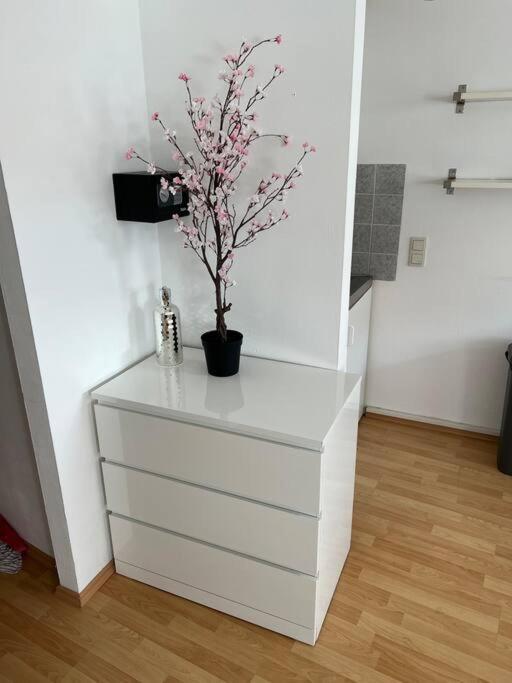 Kleines Apartment Im Zentrum Von Wuerzburg Kültér fotó